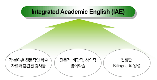 Integrated Academic English (IAE)